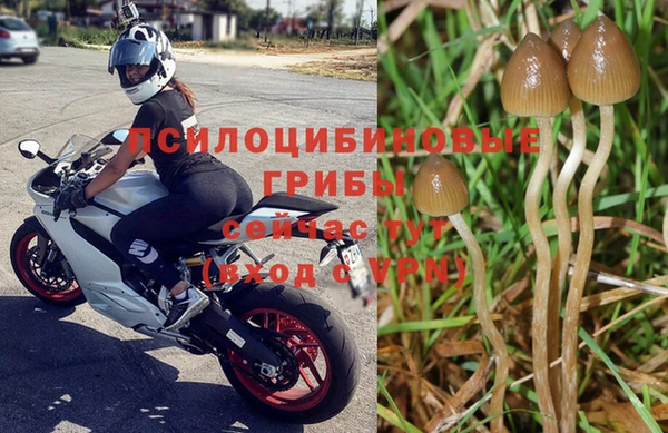 mdpv Приозерск