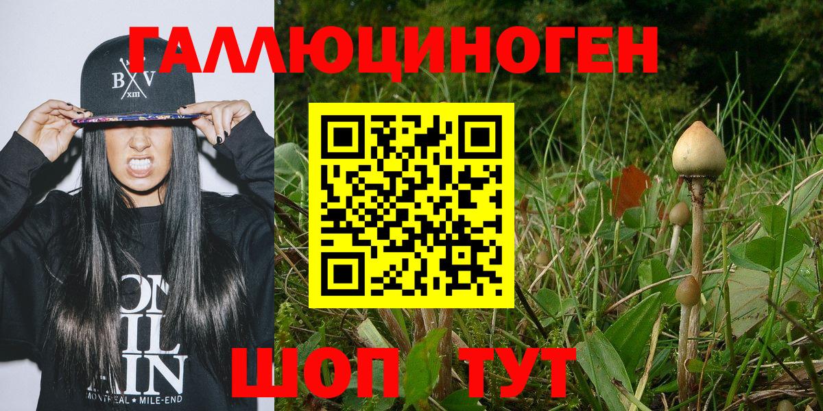 Псилоцибиновые грибы мухоморы  Вход с VPN  Галлюциногенные грибы MAGIC MUSHROOMS  Сальск 